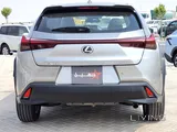 Lexus UX 300H 2024